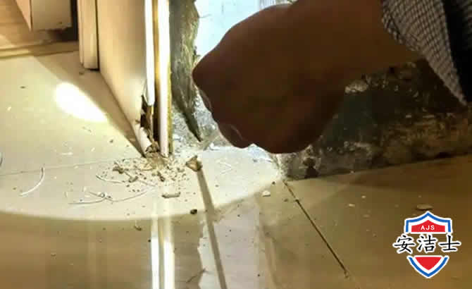 奉贤区房屋建筑防治白蚁