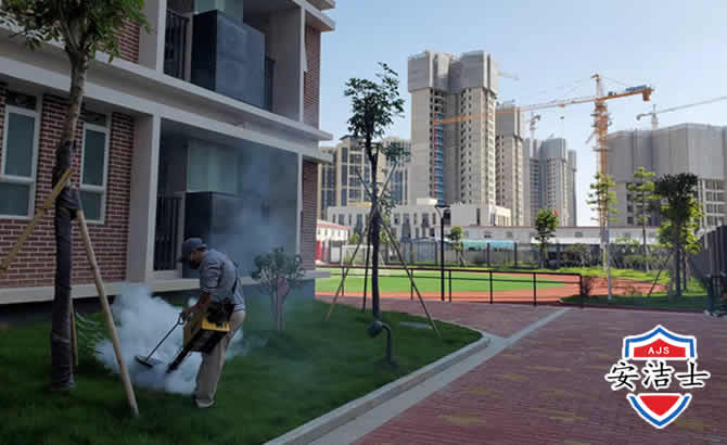 奉贤区工厂工地除白蚁