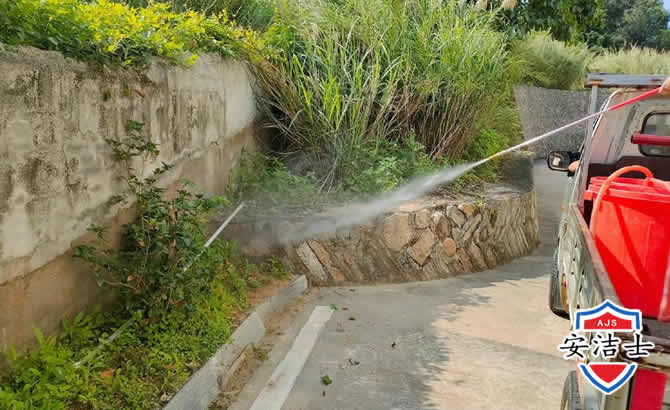 奉贤区道路堤坝白蚁防治