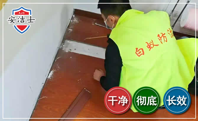 奉贤区除四害现场