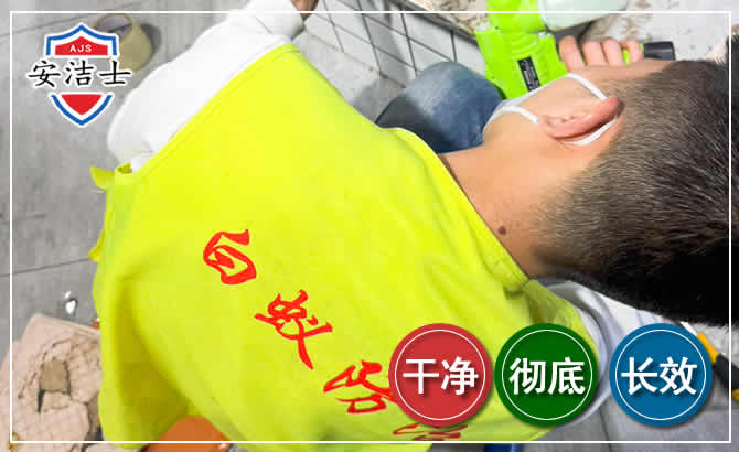 奉贤区白蚁根治现场